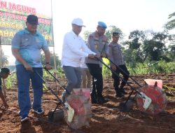 Kapolda Bengkulu Resmikan Program Penanaman Jagung di Lahan Tidur di Kelurahan Lingkar Barat