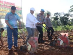 Lahan tidur disulap jadi ladang jagung, Polda Bengkulu hadirkan harapan baru