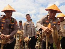 Panen perdana jagung unggul di Kepahiang: Bukti kolaborasi Polri, pemerintah, dan swasta